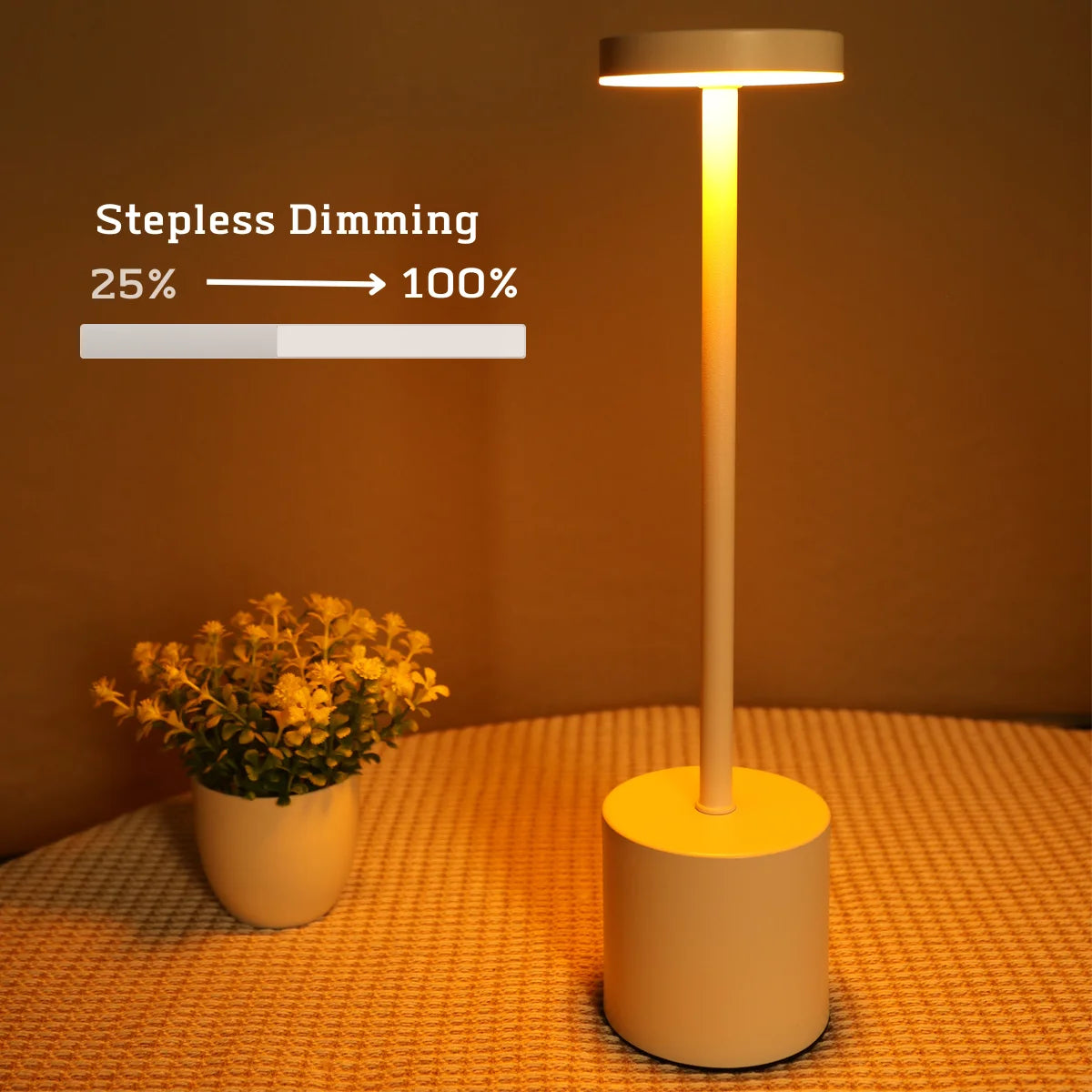 Rechargeable Touch LED Table Lamp