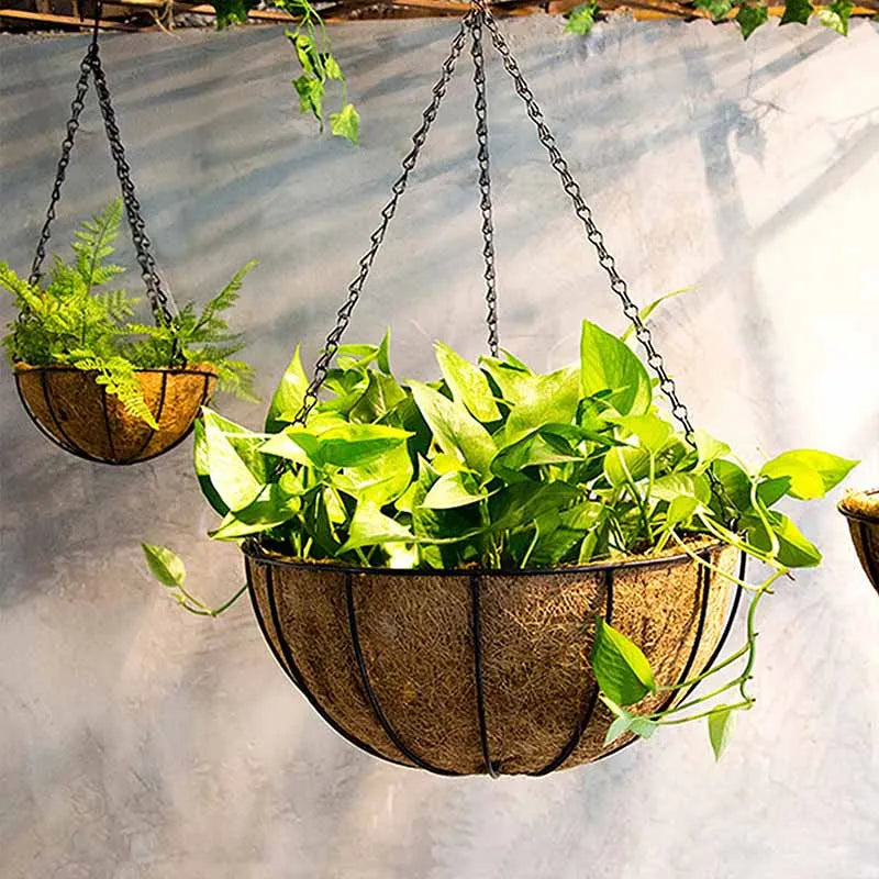 Metal Hanging Basket with Coconut Liner