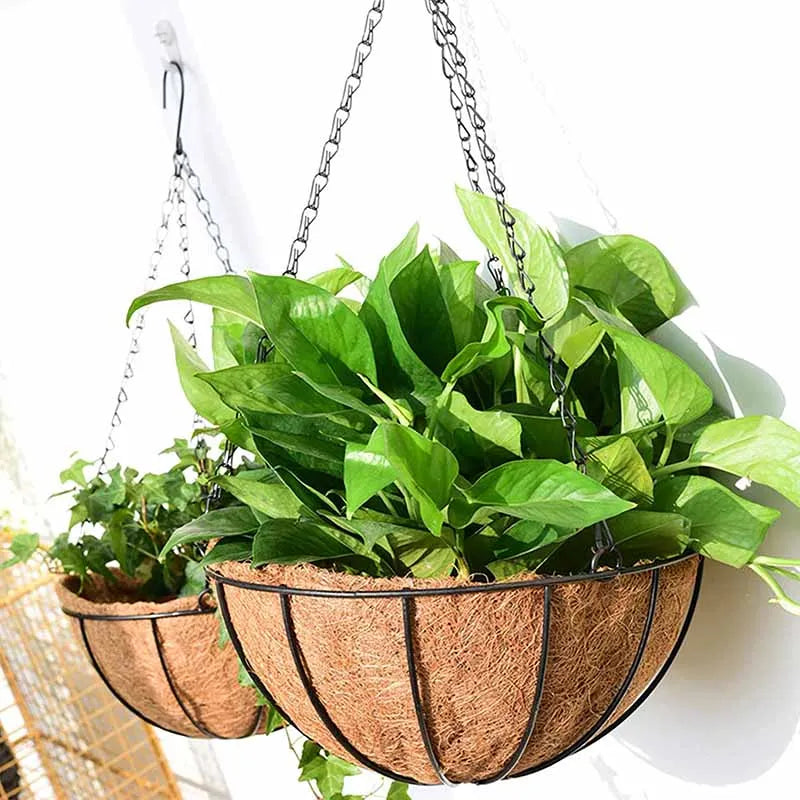 Metal Hanging Basket with Coconut Liner